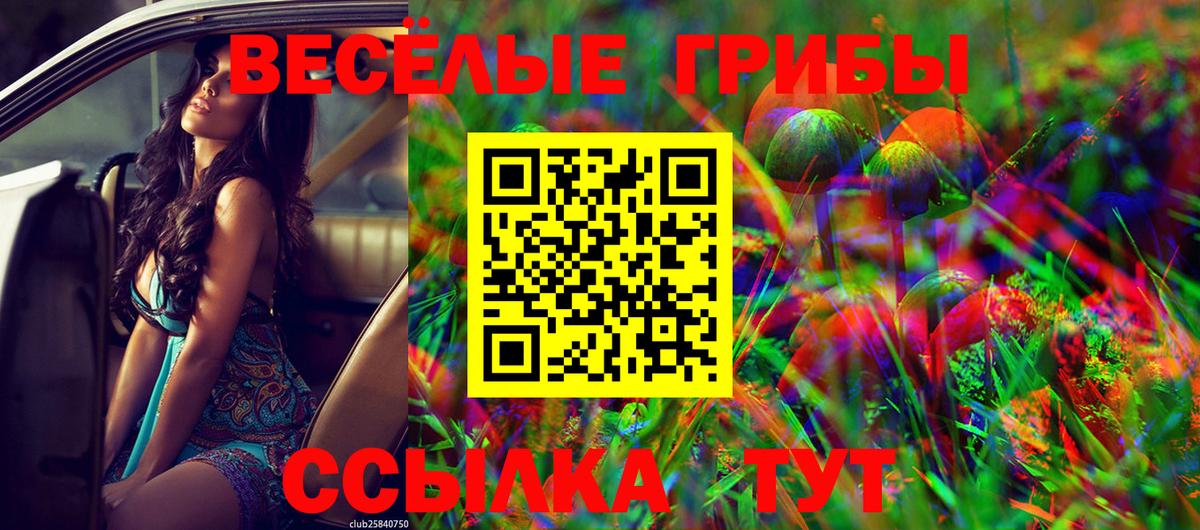 Галлюциногенные грибы Magic Shrooms Красный Сулин