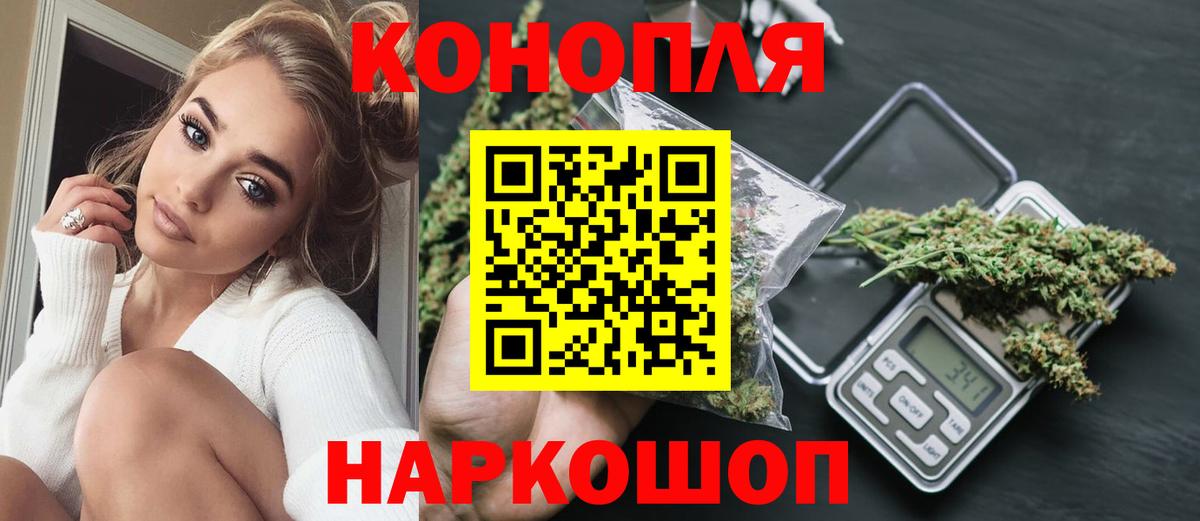 Канабис планчик Красный Сулин
